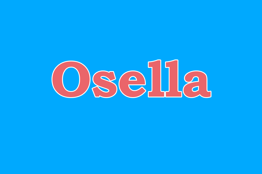 Osella Chassis